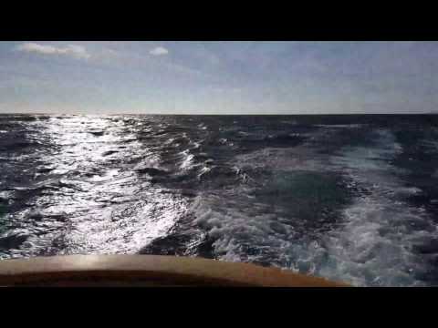 Selene 59 navigation 2