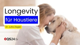 Longevity für Haustiere: Wie Hunde und Katzen gesund älter werden | Na