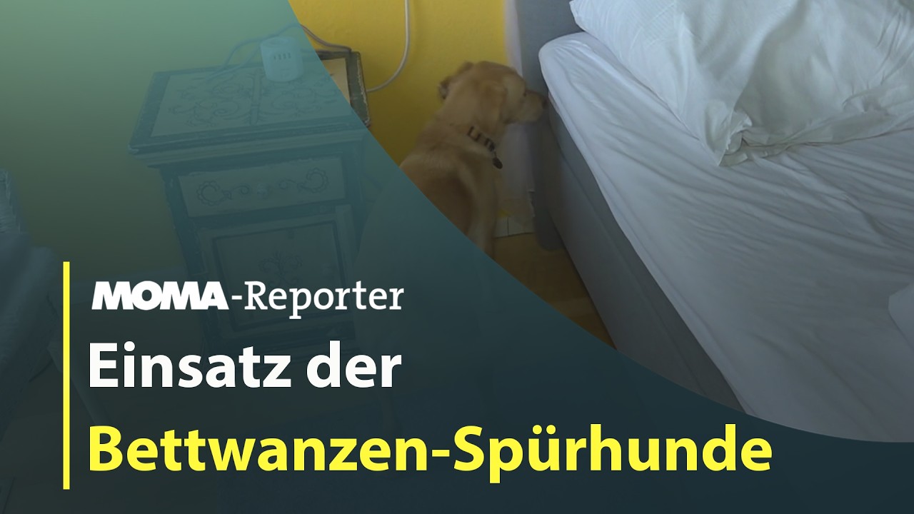 MOMA-Reporter: Hunde als Kammerjäger I ARD Morgenmagazin
