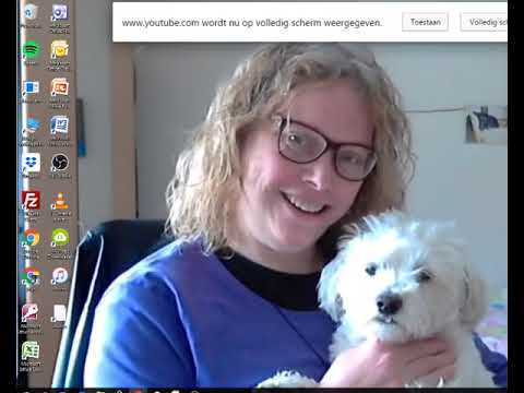 Madison Avenue vs Pino d'Angio