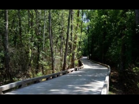 download lagu mp3 mp4 Road Bikes Atlanta, download lagu Road Bikes Atlanta gratis, unduh video klip Road Bikes Atlanta