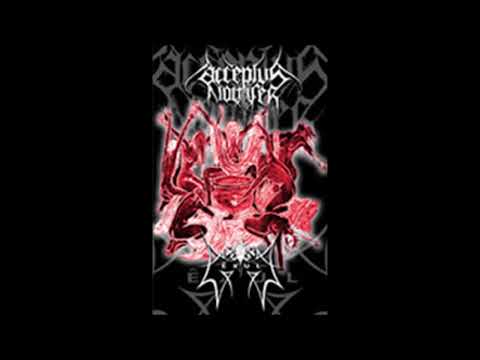 Acceptus Noctifer - Thy Ritual