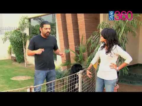 Part 8-WHAT MAKES THEM FIGHT-SAY NO TO DOG FIGHTS