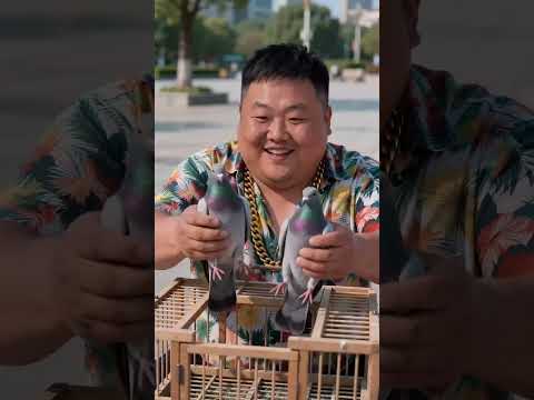 放生鸽子生意😂 #鸽子 #养鸽子的人 #老板 #放生 #一本万利