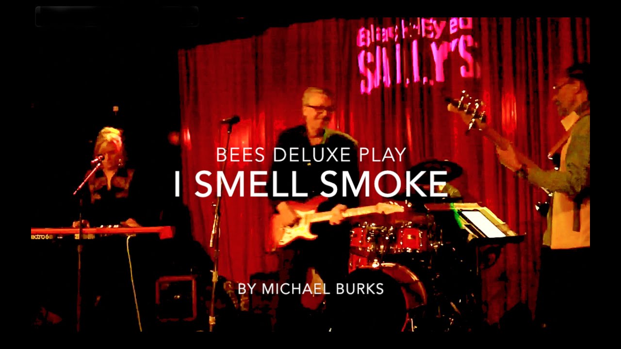 Promotional video thumbnail 4 for Bees Deluxe