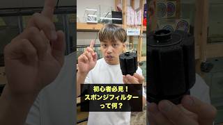 初心者必見！スポンジフィルターって何？（東京都江戸川区一之江）【お魚の保護施設/セカンドアクア】#出張引取 #全国郵送引取 #保護 #観賞魚