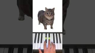Download lagu OIIA Cat Song - Piano Tutorial #shorts mp3