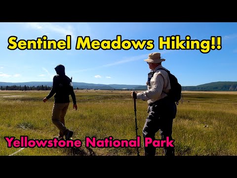 Hiking the Sentinel Meadows Trail in Yellowstone National Park!