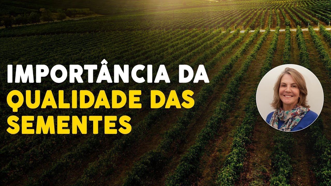 ENTENDA A IMPORTÂNCIA DE SE UTILIZAR SEMENTES DE QUALIDADE