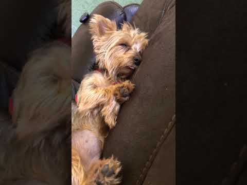 01.07.2020 A Sleeping Reagan