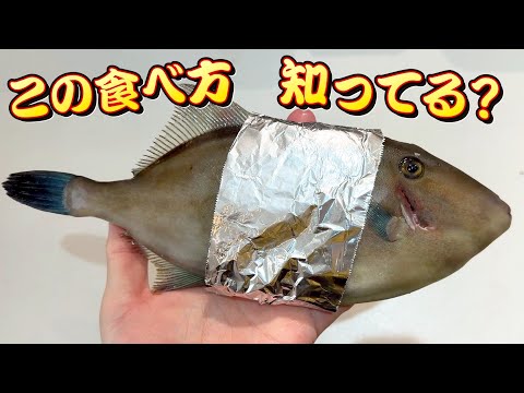 今！この魚を絶対食べてください。カワハギより美味いです。