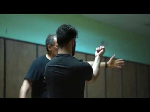 Shiko dachi/Neko ashi dachi Karate Training