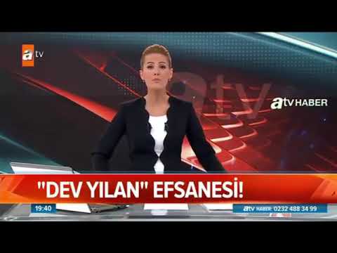 Tokat da dev yılan efsanesi  halk korkuyor