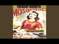 Mosquito Swarm - Frenchy Burrito - Topic Mosquito Swarm