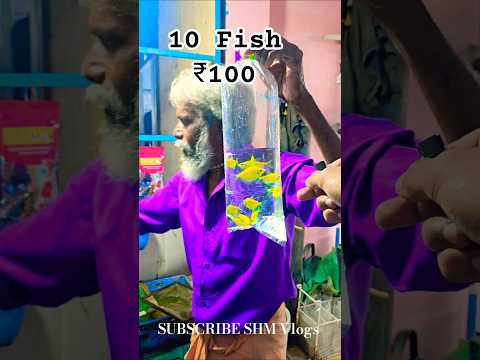 Cheapest & fish market | Chennai | India | #market #fish #pets #famous #shorts #reels #fishing #100