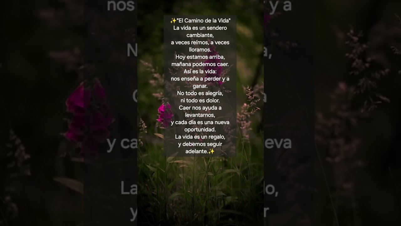 🌻 La Vida es un Regalo 🎁#reflexiones #shorts #parati