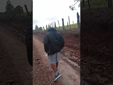 Fazendas na região de Reserva, Paraná, Brasil 🇧🇷