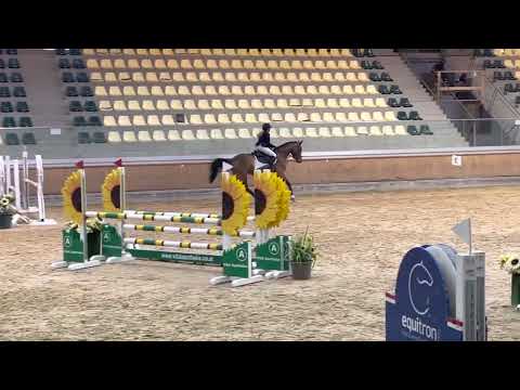 CHACCERO (5yo Cicero Z) 26.02.22 Stadl Paura AUSTRIA - 1. Place Youngster 105 cm