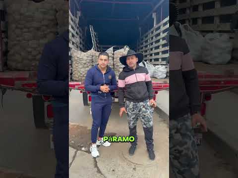 Papaton en Pamplona Norte de Santander