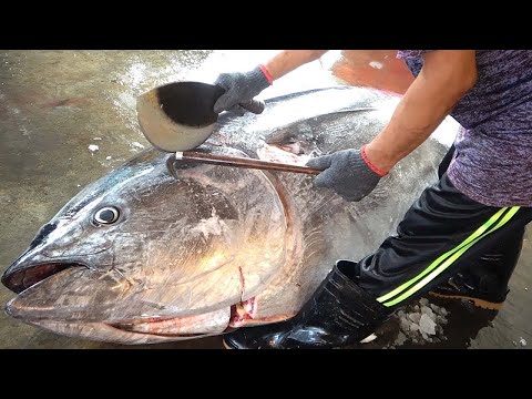 Amazing 500KG Giant Bluefin Tuna Cutting Skills
