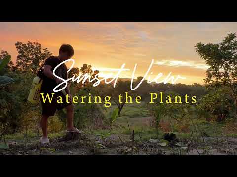 Seremos - Uriel Barrera