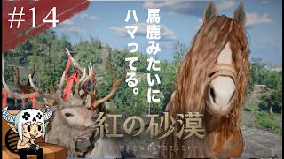 【#14】モヤモヤ消して廻る。【 紅の砂漠 / Crimson Desert 】