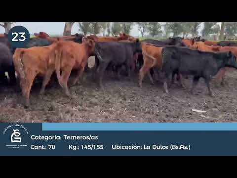 Lote M Y H - Necochea Bs As