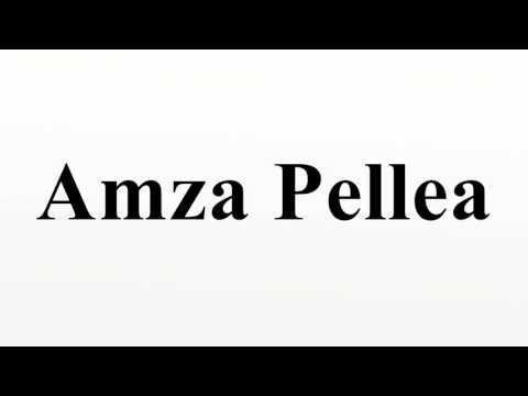 Amza Pellea