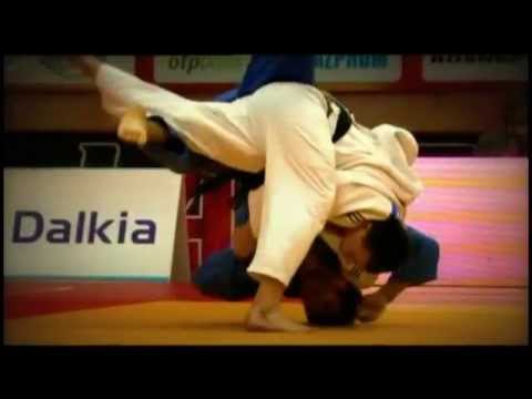柔道 JUDO - ANIMAL JUDO - JudoAttitude