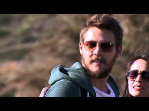 Bold and Beautiful 7291