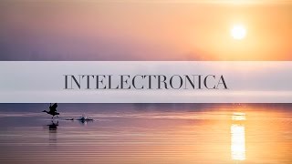 Jon Hopkins — Abandon Window (Original Mix)