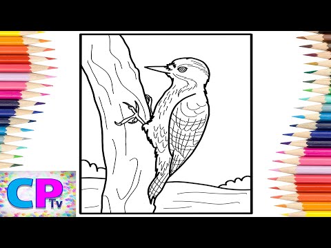 Woodpecker IPad Pro Coloring Pages/Wild Birds Coloring/Elektronomia - Sky High pt. II [NCS Release]