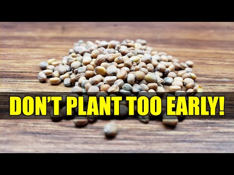 Garden Quickies Volume 1 Episodes 1 to 10