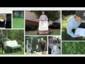 Video Thumbnail Image