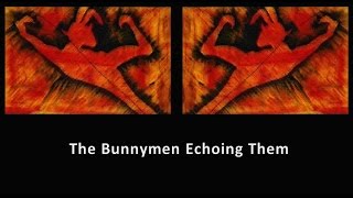 The Bunnymen Echoing Them - Compilation