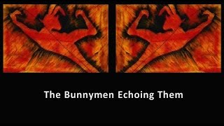 The Bunnymen Echoing Them - Compilation