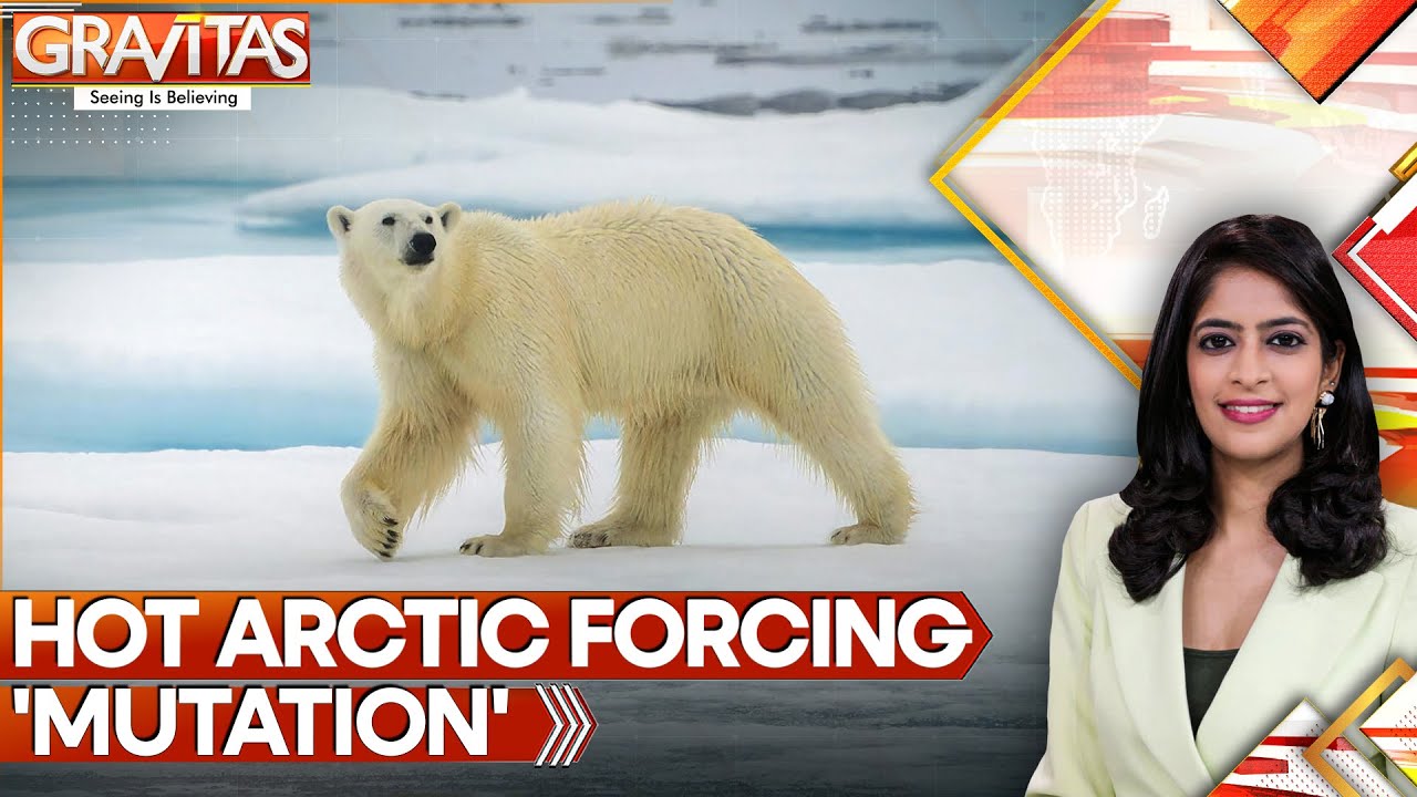 Arctic Hottest in 125 Years: Polar Bears Rewrite DNA for Survival | GRAVITAS