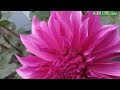Mon Reak Mon Katha Beautiful View Of Nagaland Peren Dist New Santali Video Song 2021