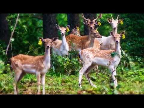 Park Danieli i Agroturystyka Roma