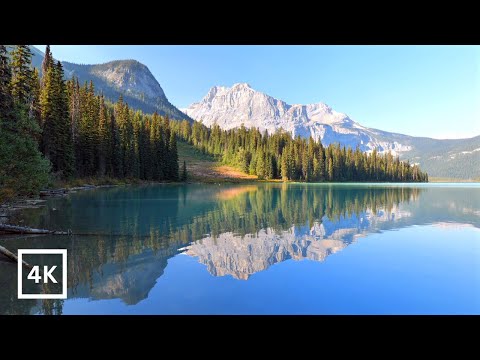 Emerald Lake Ambience | Yoho National Park | Gentle Waves for Sleep & Study | Peaceful Nature Sounds