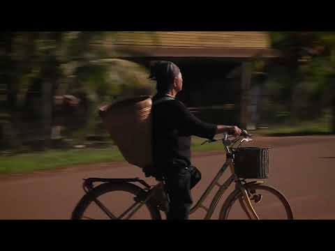 Nous, gens de la terre - la Guyane / Extrait