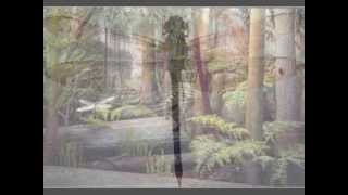 Frank Marino&Mahogany Rush: "Babylon Revisited"