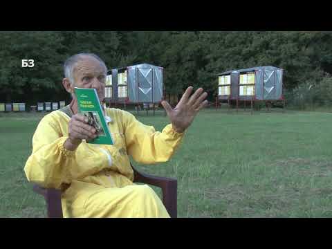 Bolja zemlja - pčelar Slobodan Ivančević o zazimljavanju pčela