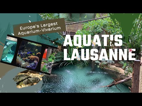 AQUATIS Lausanne - Europe's Largest Aquarium-Vivarium