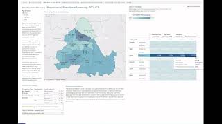 Activity and Evaluation Analysis for Neighbourhood Mental Health Teams in Birmingham and Solihull