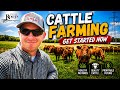 Start Raising Cattle, The basic info needed to get your first cow!