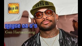 Royce Da 5&#39;9&quot; - Gun Harmonizing