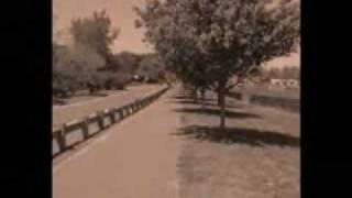 Chris Wood - Indecision