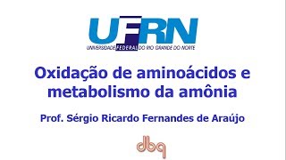 Curso de Bioquimica: Oxidação de aminoácidos e ciclo da uréia