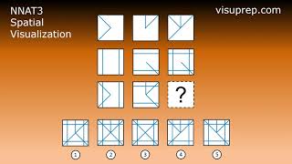 NNAT (NNAT2, NNAT3) Naglieri - Spatial Visualization - Grade 2